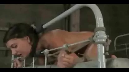 Dvije drolje u dog porno film bikinijima imaju momka u troje nakon lezbijske predstave