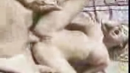Drolja masturbira pred privates porno publikom i pokazuje svoju razvratnost